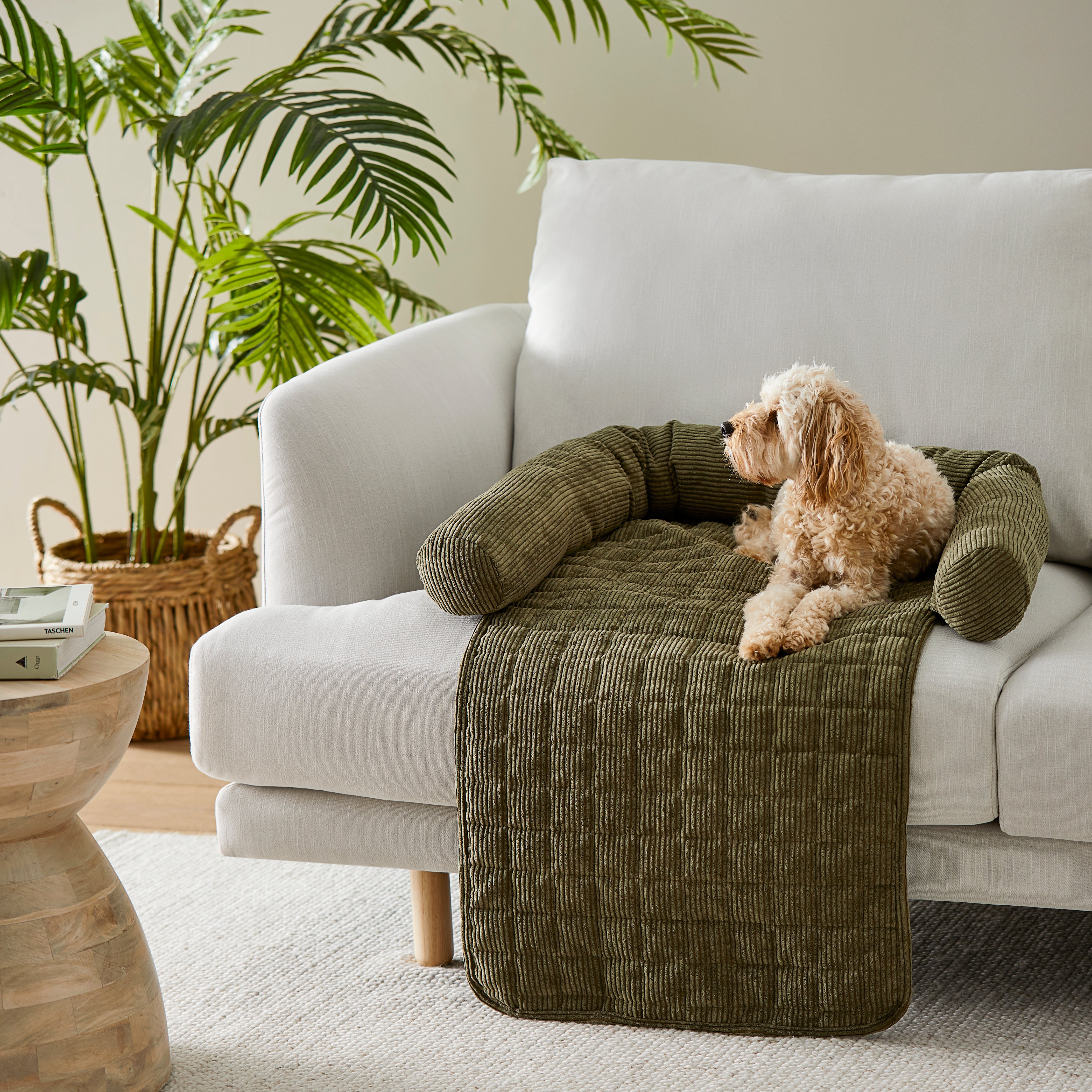 Fetch Maisy Forest Corduroy Fold Out Pet Bed Pets Adairs