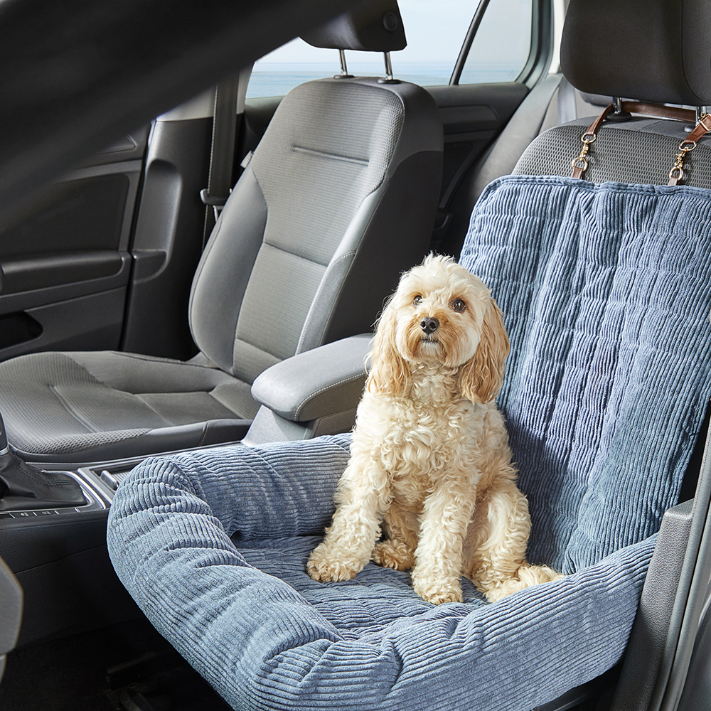 Photo inspiration: Picture Idea: Fetch Maisy Navy Corduroy Fold Out Pet Bed