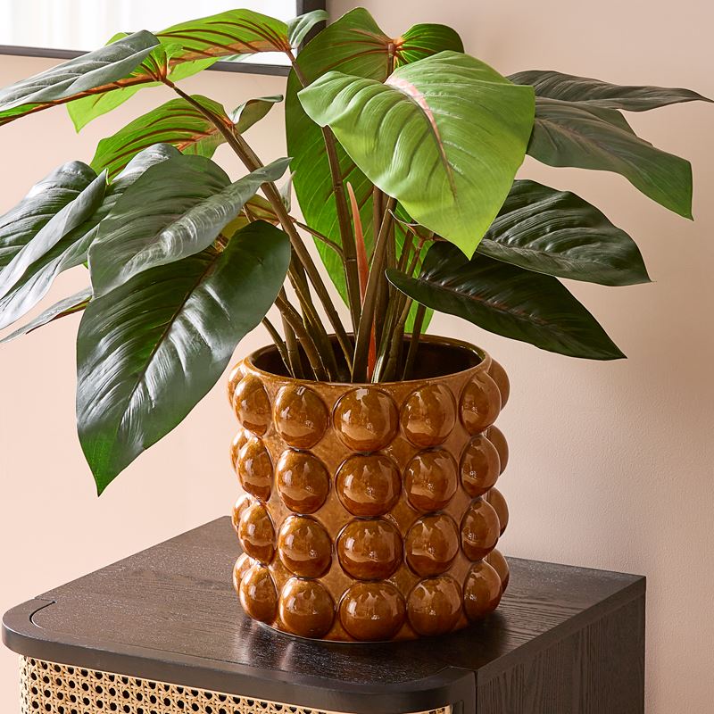 Red Philodendron Potted Plant 60cm 