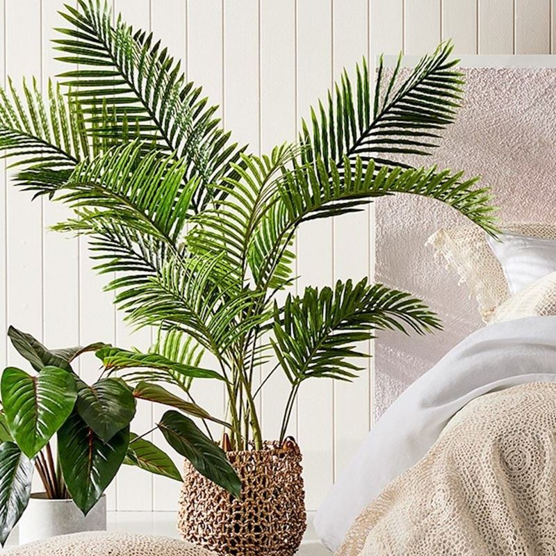 Areca Palm Potted Plant 110cm