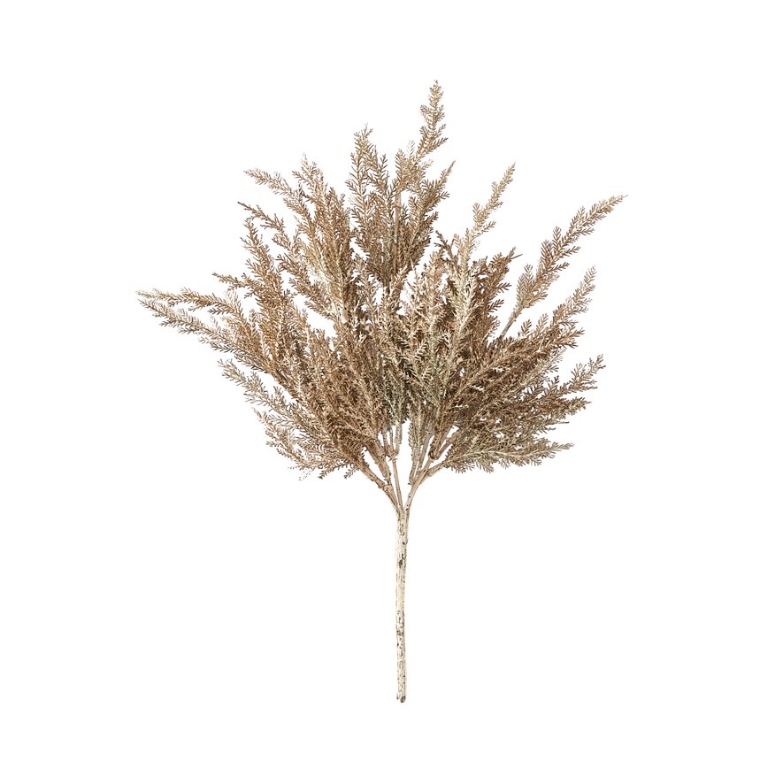 Winter Brown Asparagus Fern Stem | Adairs