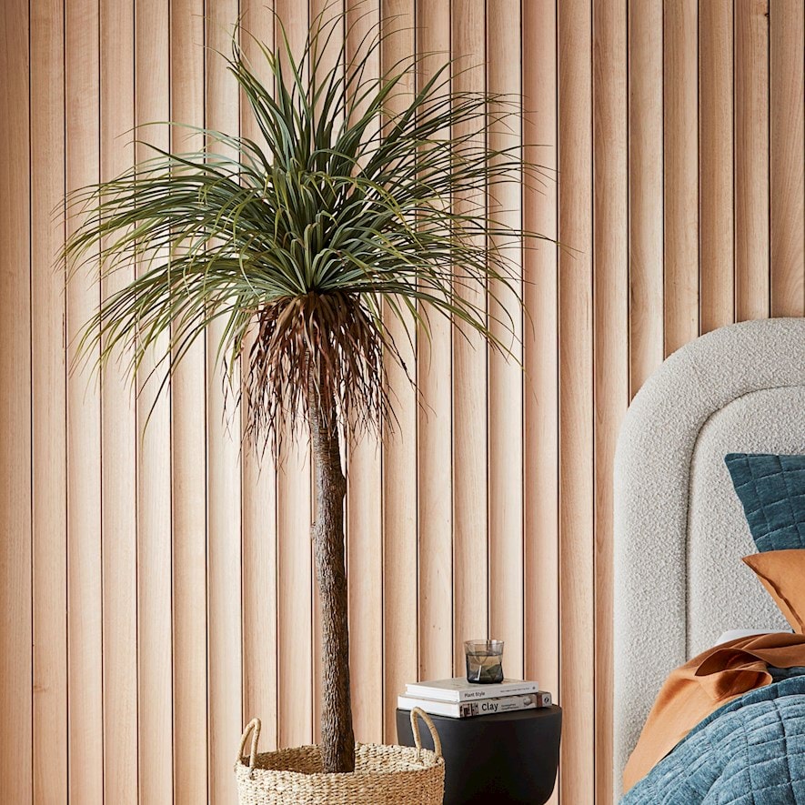 Mojave Green Plant Adairs