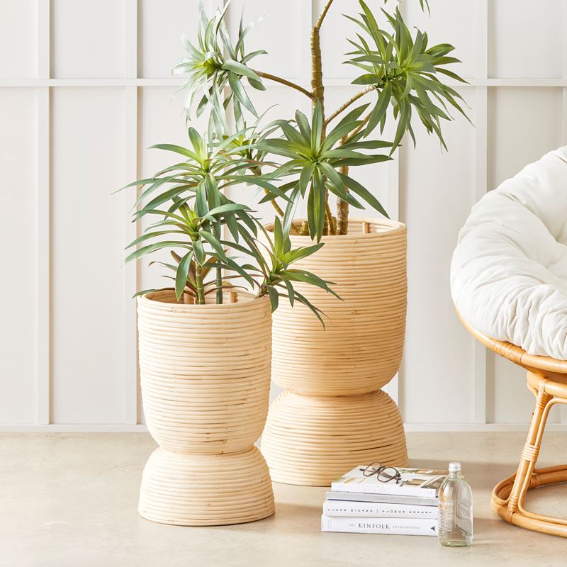 Togo Natural Plant Stand