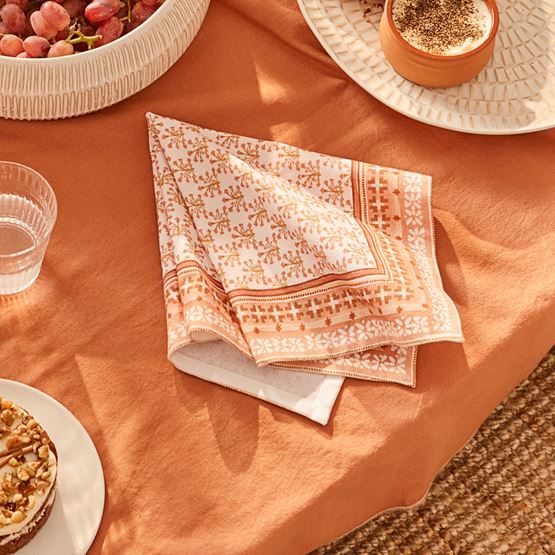 Sunkissed Clay Napkins 2 Pack