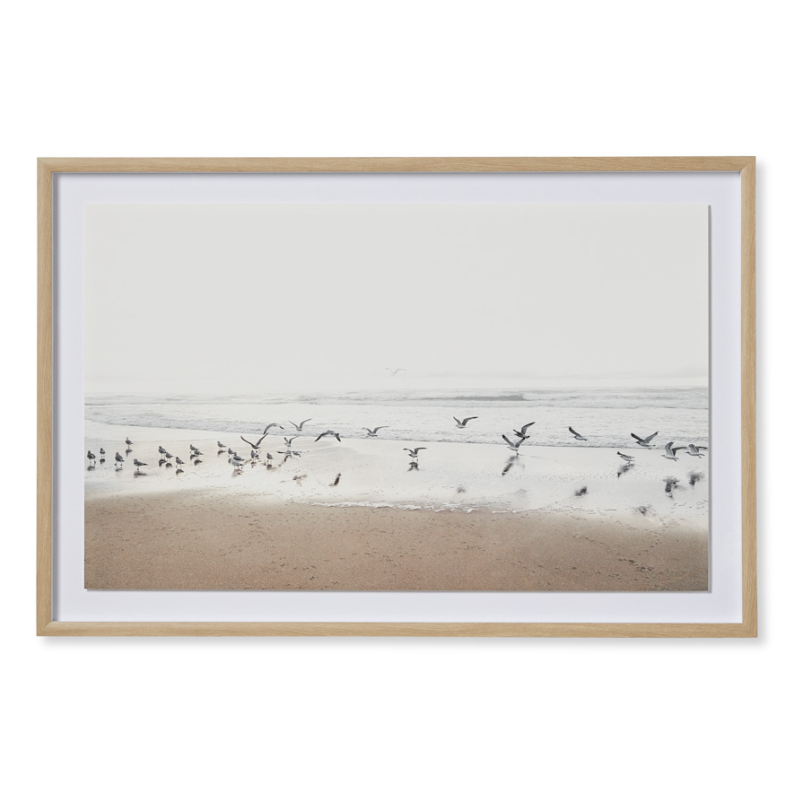 Flinders Sea Birds Framed Wall Art Homewares Adairs