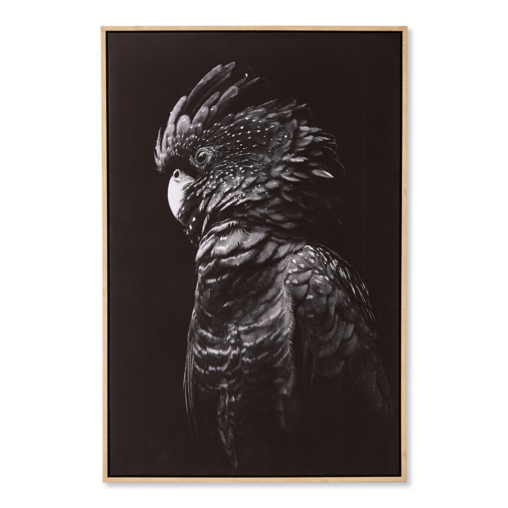 Flora & Fauna Midnight Cockatoo Canvas Adairs