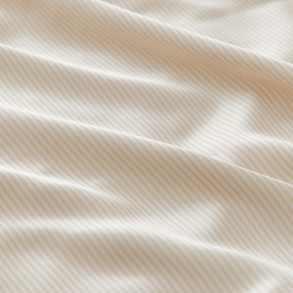 Pure Silk Natural Stripe Pillowcase Adairs