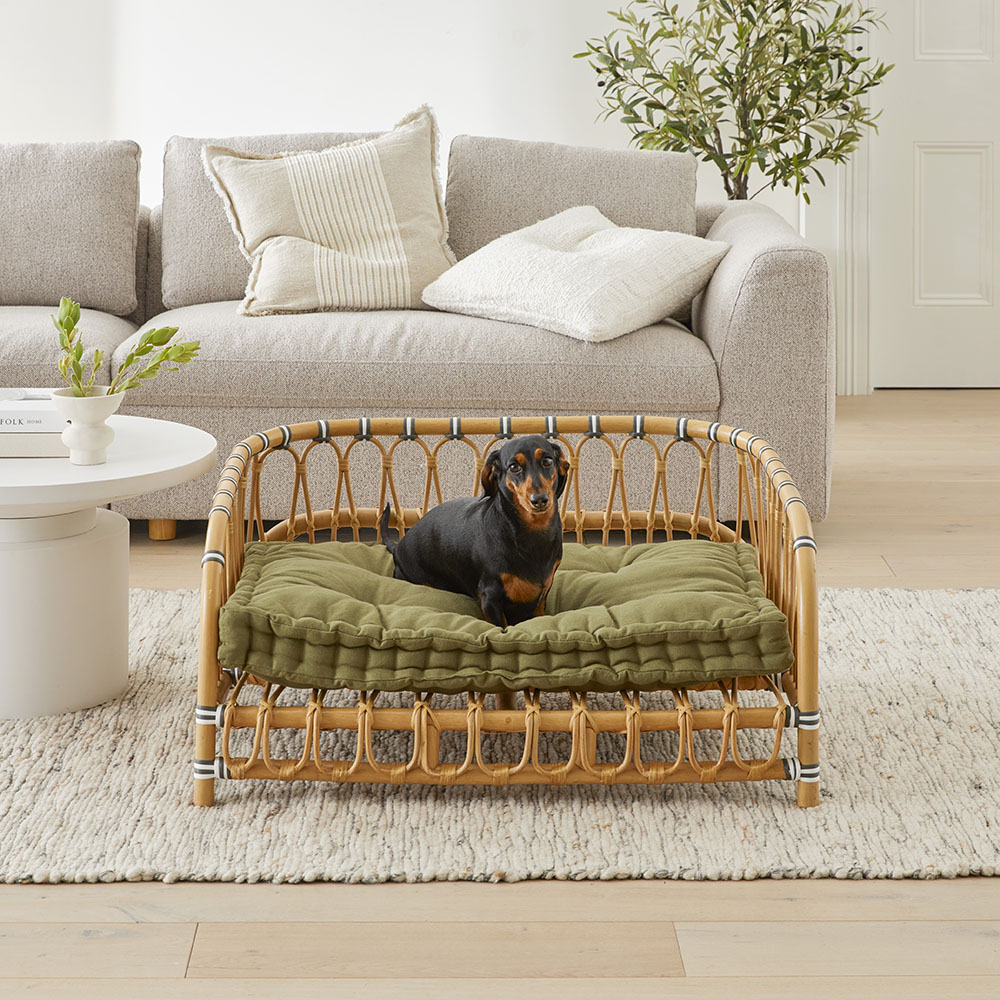 Cheap dog bed outlet cushions