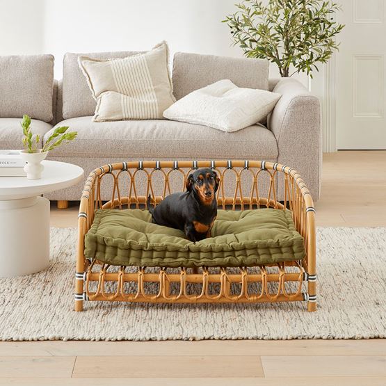 Oasis Forest Pet Bed Cushion