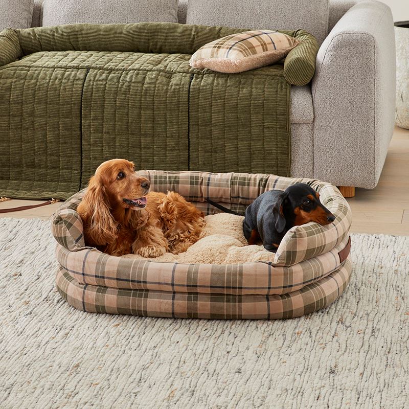 Ziggy Biscuit & Forest Corduroy Pet Bed