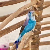 Australiana Feather Bird Budgie Blue Tree Topper