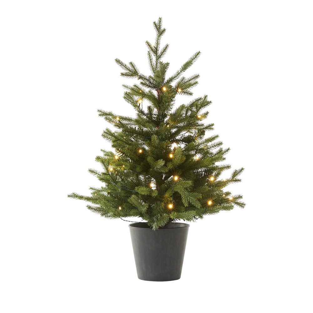 Potted LED Green Christmas Tree Adairs