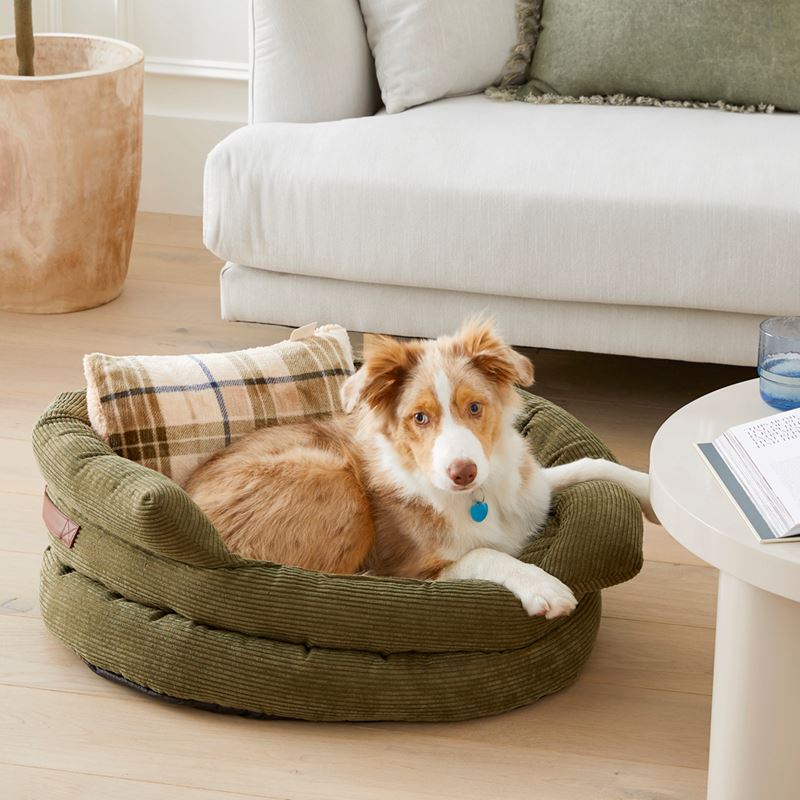 Fetch - Maisy Biscuit & Forest Check Pet Pillow | Homewares | Adairs
