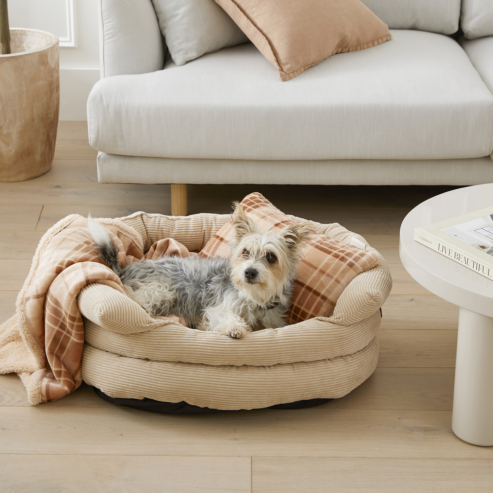 Fetch dog beds cheap