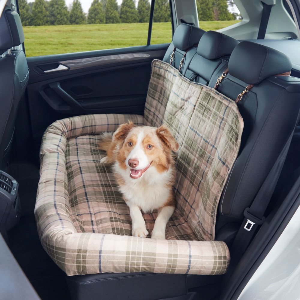 Double pet car seat outlet