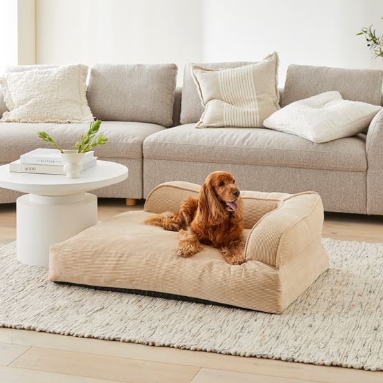 Cooper Biscuit Couch Pet Bed