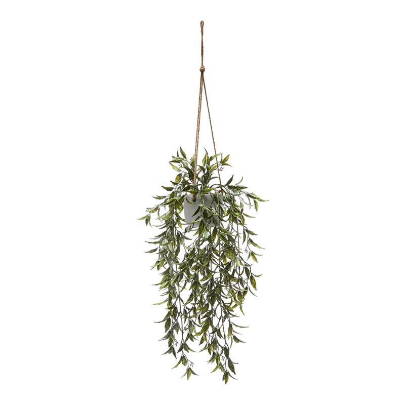 Willow Silver Green Hanging Fern