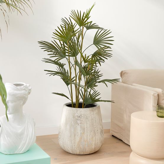 Lady Green Potted Palm 120cm