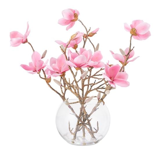 Pink Magnolia In Vase