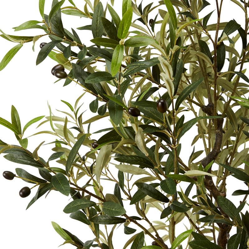 Green Olive Tree 125cm