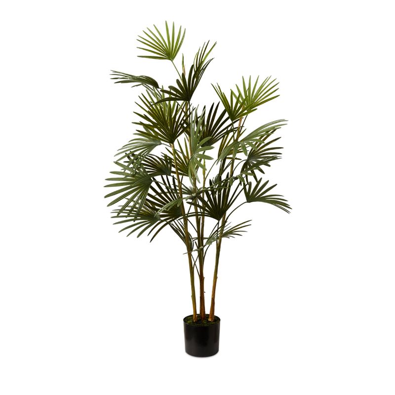 Lady Green Potted Palm 140cm