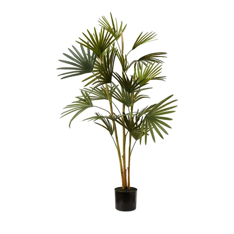 Lady Green Potted Palm 120cm