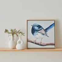 Aves Blue Wren Canvas