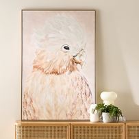 Aves Pink Parrot Canvas