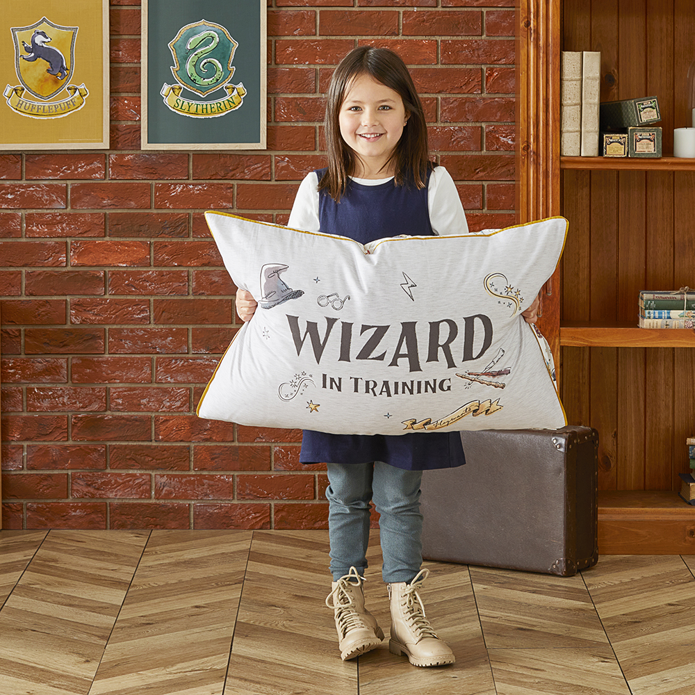 Warner Bros Harry Potter Grey Marle Wizard in Training Pillowcase Adairs