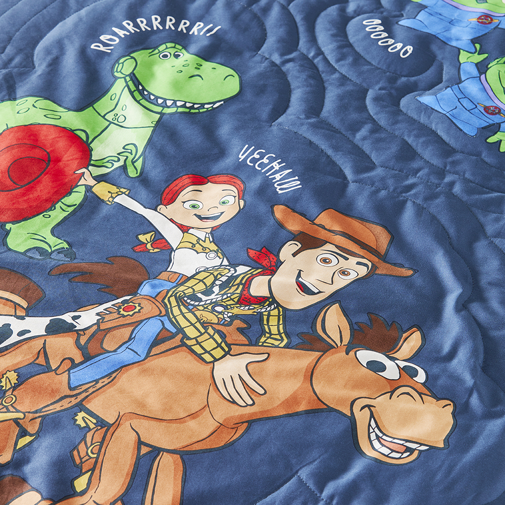 Toy story quilt cover big w hotsell