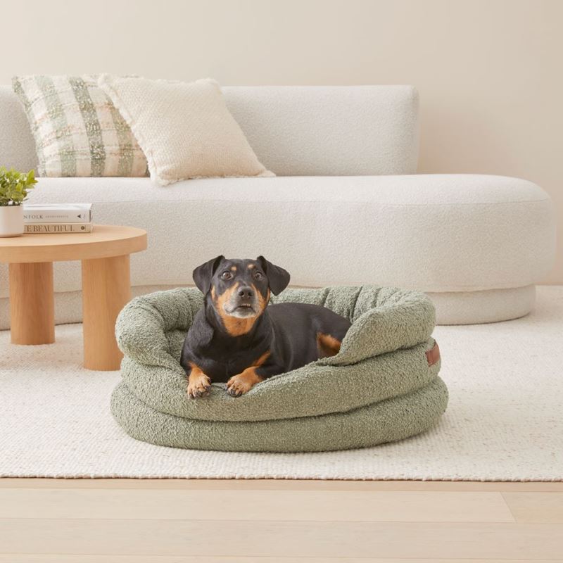 Fetch - Ziggy Lily Pad Boucle Pet Bed | Adairs