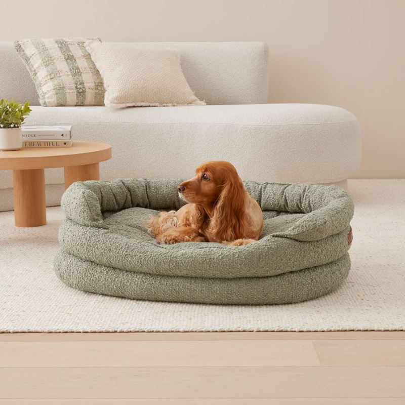 Fetch - Ziggy Lily Pad Boucle Pet Bed | Adairs