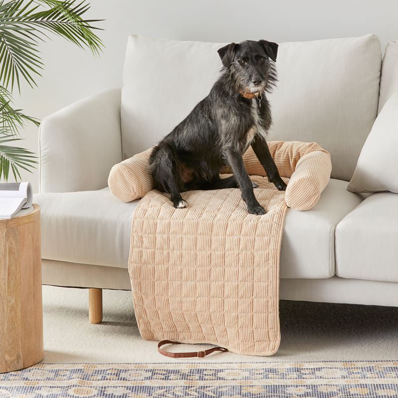 Adairs pet bed outlet