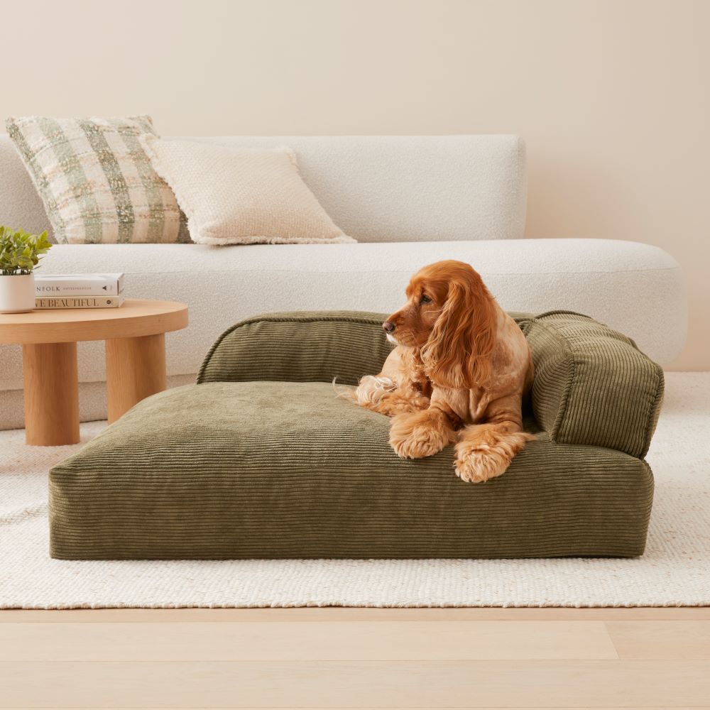 Cooper Forest Couch Pet Bed Adairs