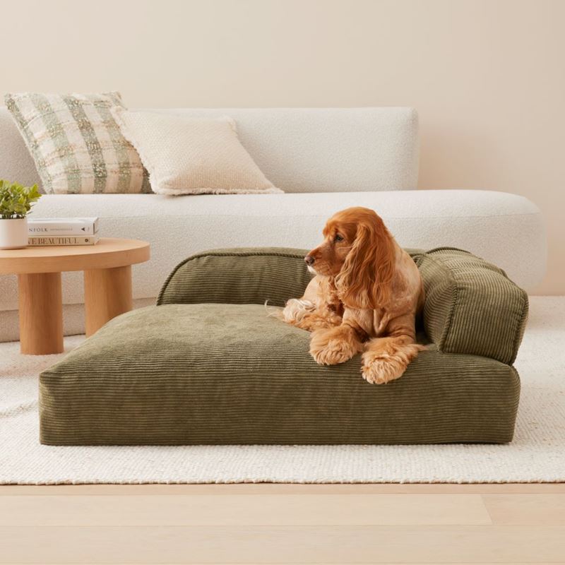 Cooper Forest Couch Pet Bed