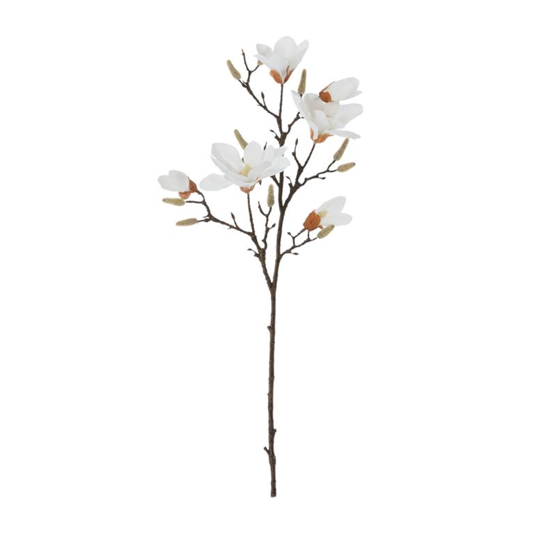 Magnolia White Tall Stem