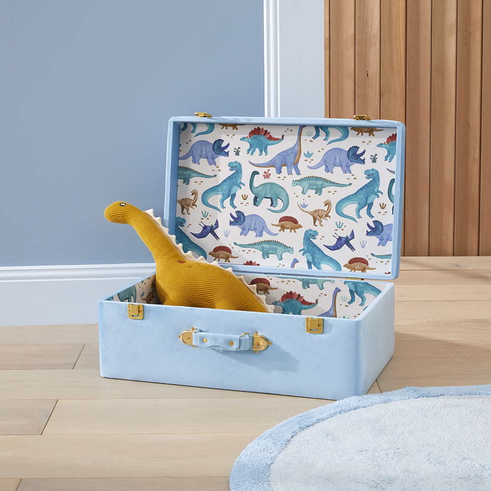 Adairs Kids Dino Explore Keepsake Suitcase Adairs
