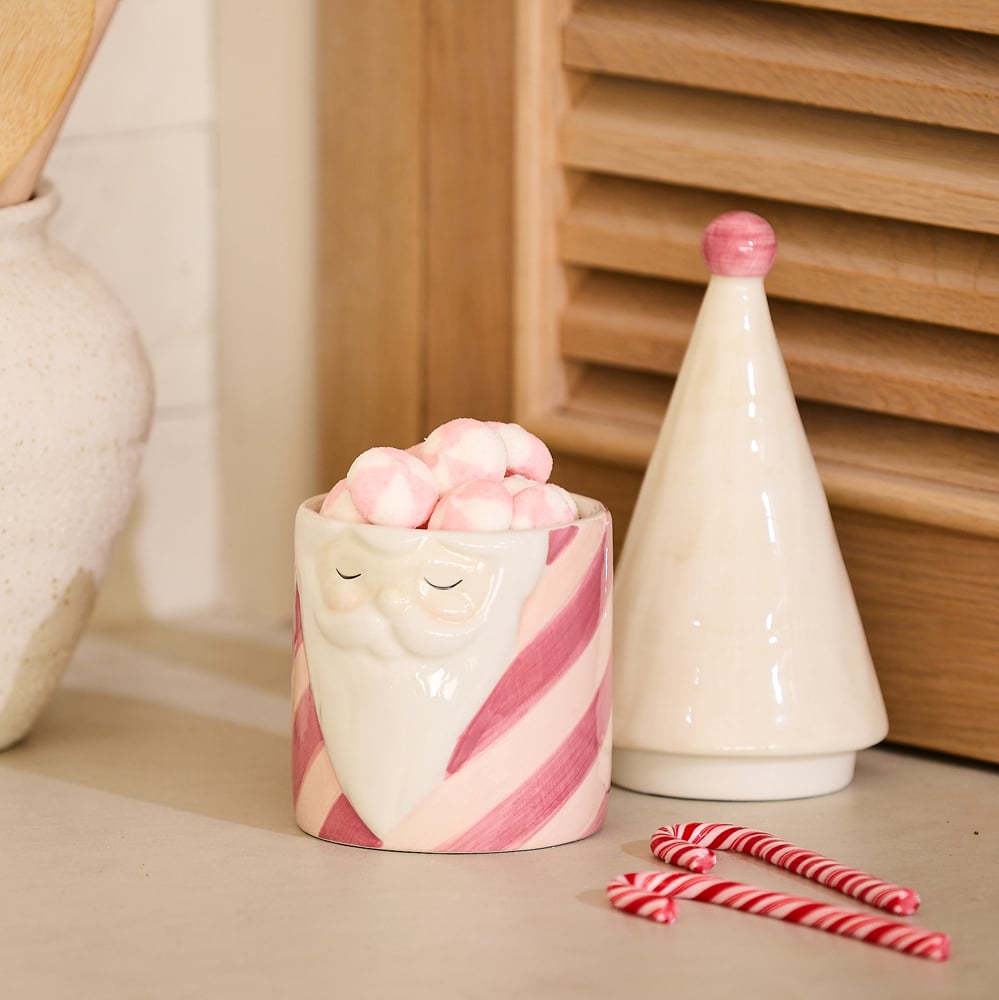 Santa Pink & White Canister | Adairs