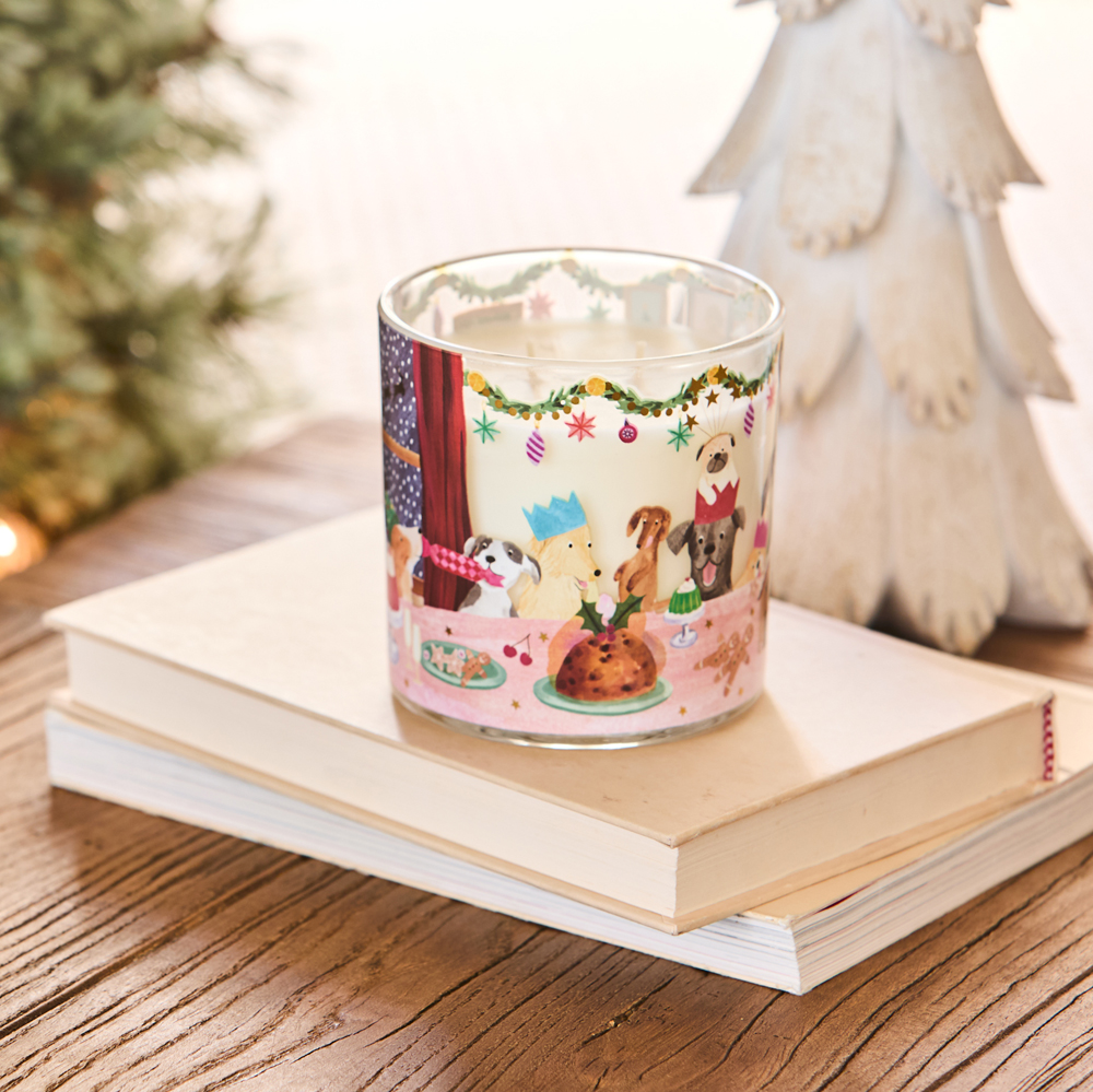 Festive Spice Candle 400g | Adairs