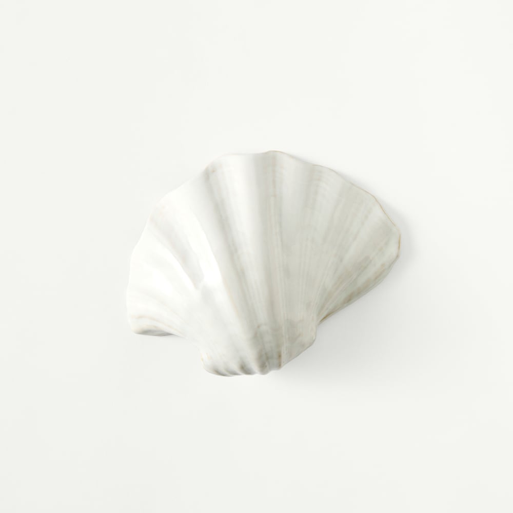 Marine White Clam Shell | Adairs