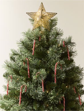 Xmas25_Hub_CatTiles - 1 Trees & Wreaths_MB.jpg