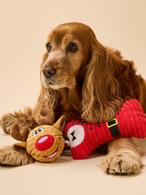 Xmas25_Hub_GiftTiles - 2 Pets_MB.jpg