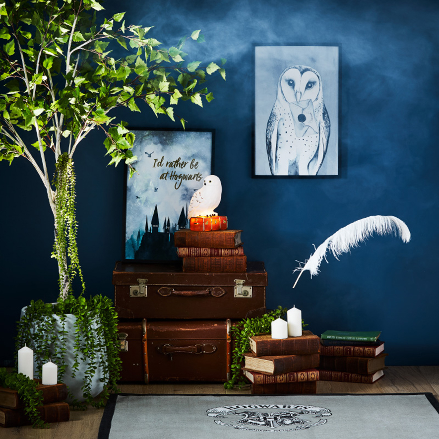 Adairs Kids Harry Potter Collection Hedwig The Owl Wall Art Adairs
