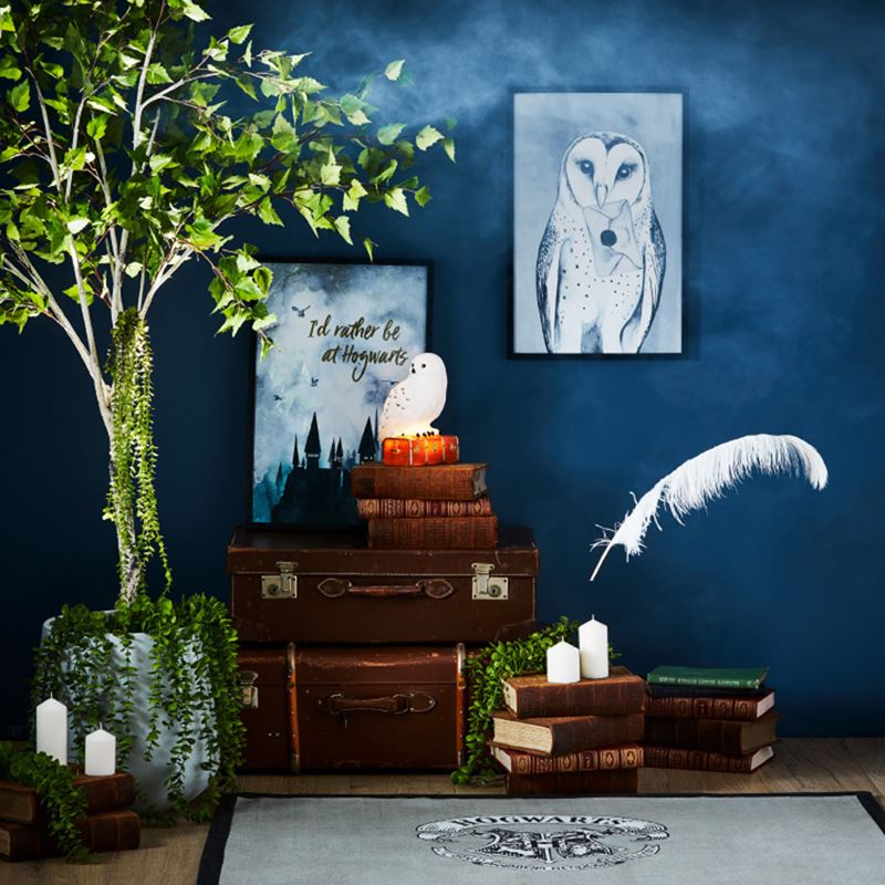 Harry Potter Collection Hogwarts Wall Art