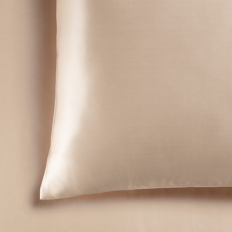 Pure Silk Champagne Pillowcase Adairs