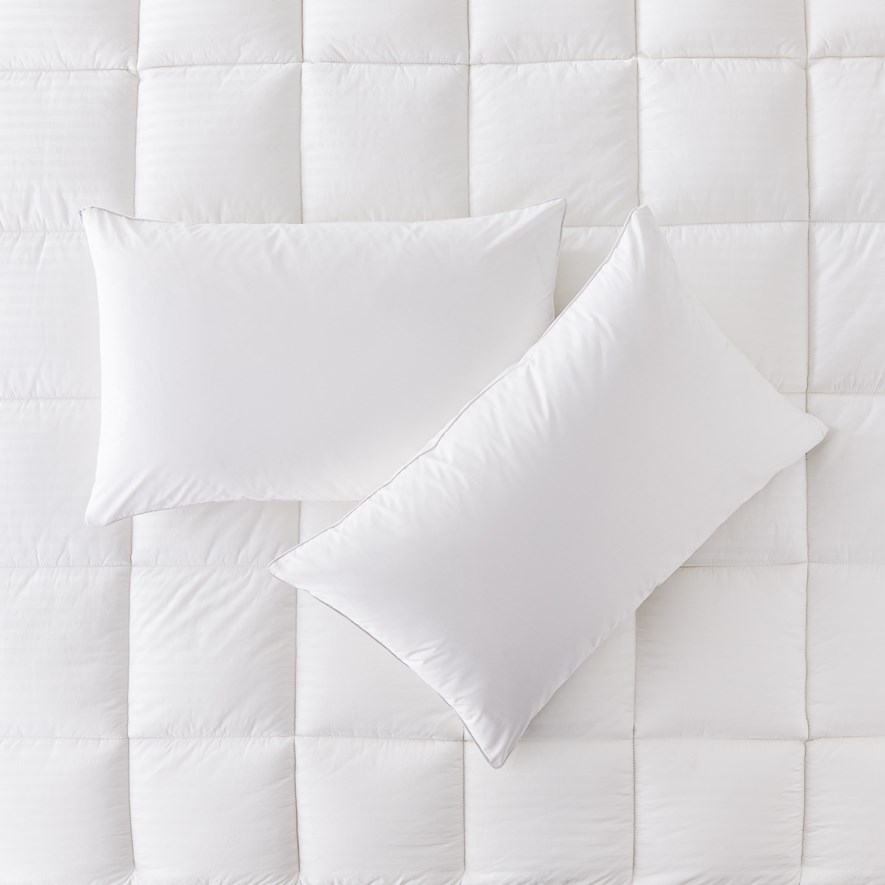 Cotton Pillow Protectors Twin Pack Adairs