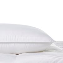 Comfort Low & Firm - Standard Pillow