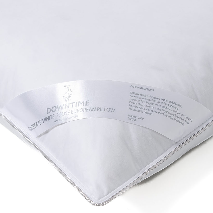 Downtime Supreme Goose European Pillow Adairs