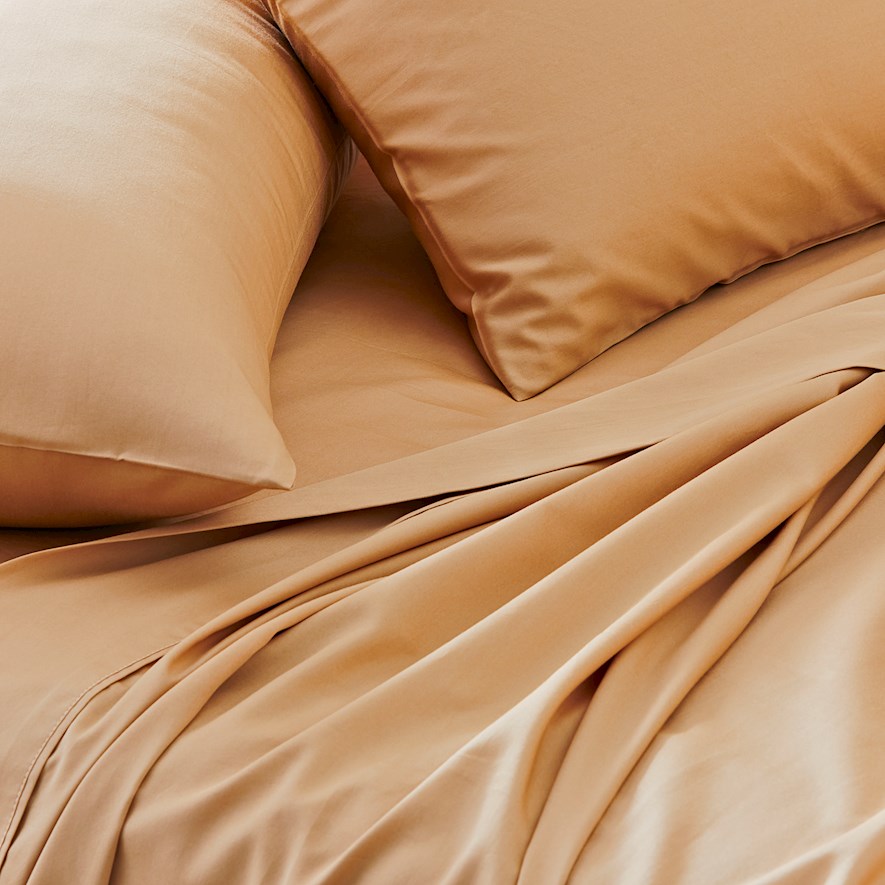 World's Softest Cotton Latte Sheet Set Adairs