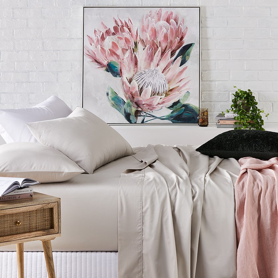 Worlds Softest Cotton Sheets Adairs